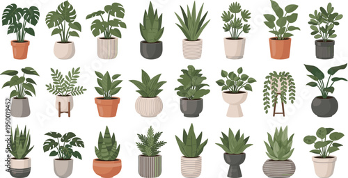 Cartoon Indoor Houseplants Collection with Potted Tropical Green Plants Succulents and Decorative Planters for Home Decor Botanical Vector Illustration