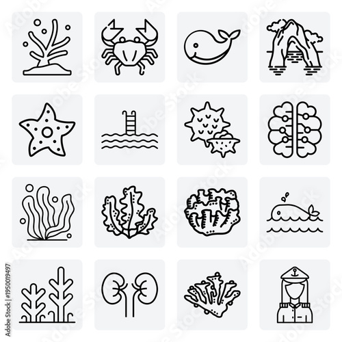 Common Reef Inhabitants And Marine Plants – Brain Coral, Elkhorn Coral, And Various Seaweeds For Educational Graphics