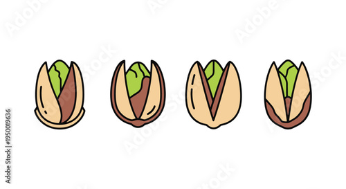 Pistachio Shell Line art modern abstract color vector design