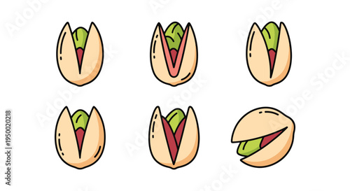 Pistachio Shell Line art soft elegant abstract illustration