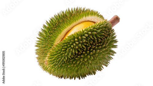 Isolated natural durian fruit with spiky green skin partially opened revealing yellow flesh