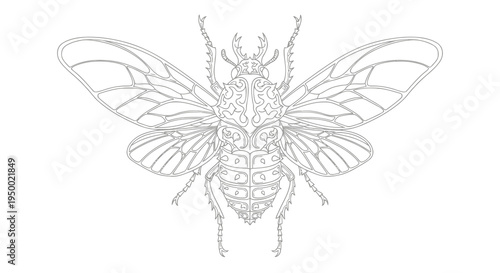 Detailed black and white illustration of a moth with intricate patterns and textures on its body and wings.