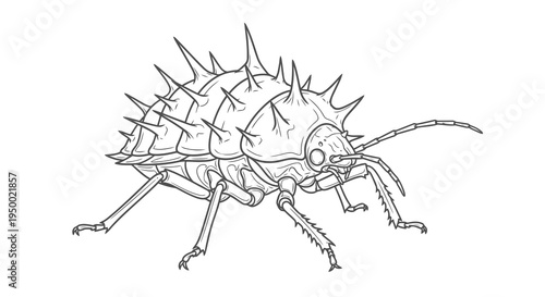 Detailed drawing of a spiky insect with sharp protrusions on its body.