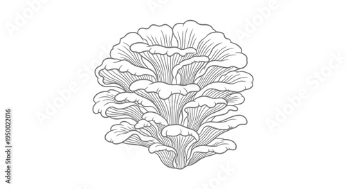 A detailed black and white illustration of a cluster of mushrooms.