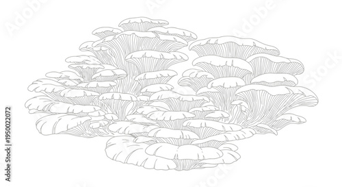 A black and white illustration of a landscape with a large cloud formation.