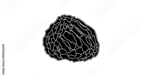 A black truffle with a rough surface and white highlights against a white background.