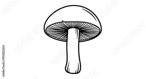 Simple black and white illustration of a mushroom with visible gills
