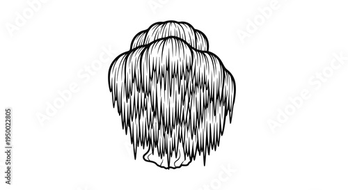 A simple black and white drawing of a seashell with hair-like texture.