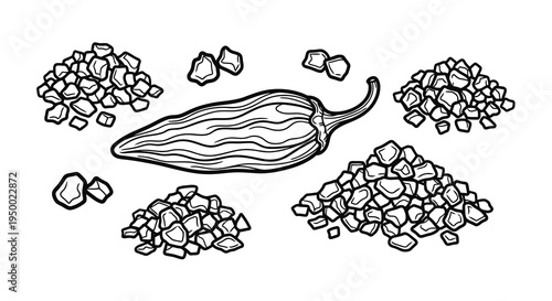 A detailed drawing of a pepper surrounded by small rocks or pebbles on a white background.