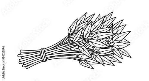 A simple black and white drawing of a tied bunch of leaves