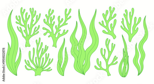 Green Seaweed Collection: Underwater Plants and Coral Illustrations