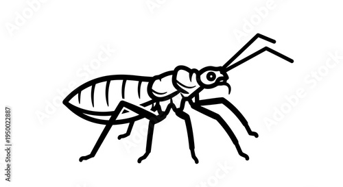 Detailed black and white drawing of an insect with distinct body features and long antennae.