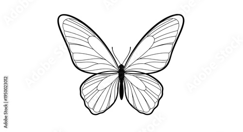 A simple black and white line drawing of a butterfly with delicate wings.