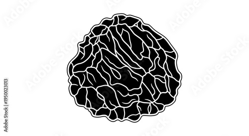 A black and white illustration of a brain with visible folds and creases on a plain background.