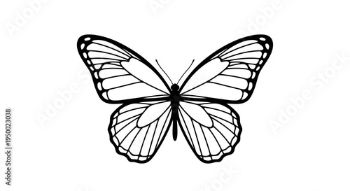 A simple black and white drawing of a butterfly with delicate wings.