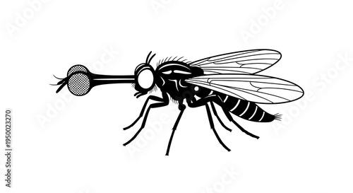 A black and white illustration of a mosquito with a blood-filled proboscis.