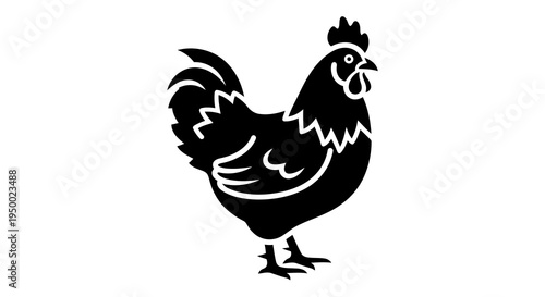 A simple black and white illustration of a rooster standing proudly with detailed feathering.