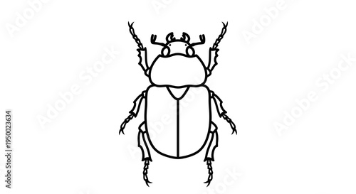 A simple black and white line drawing of a beetle viewed from above.
