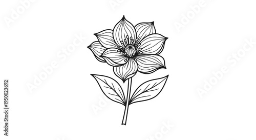 A simple black and white line drawing of a flower with large petals and leaves.