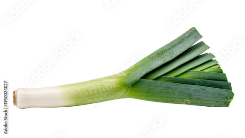 Fotografie Isolated fresh green leek vegetable with white stem and fanned leaves for health
