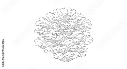 Detailed black and white drawing of a flower or plant with intricate petals.