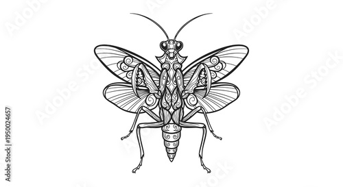 Detailed black and white drawing of a wasp in flight from a top view.