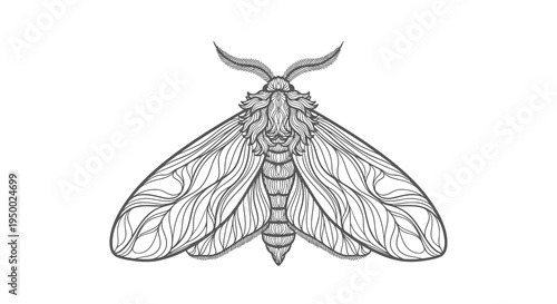 Detailed black and white illustration of a moth with spread wings and visible antennae.