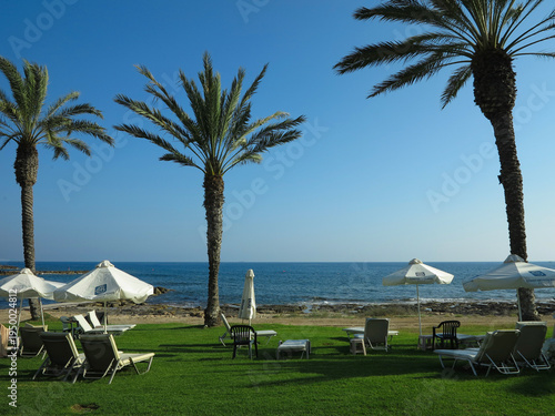 Beautiful landskape, palm trees and sun loungers at luxury resort