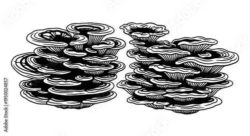 A detailed black and white illustration of stacked coins divided into two piles.