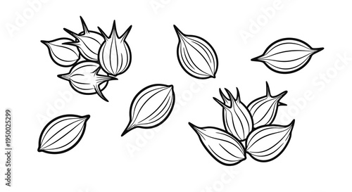 A simple black and white illustration of cardamom pods and leaves on a white background.