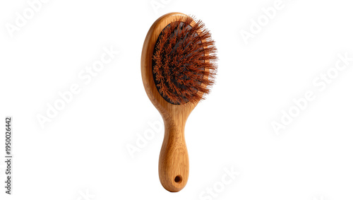 Isolated wooden hairbrush with natural boar bristles, elegant grooming tool for hair care
