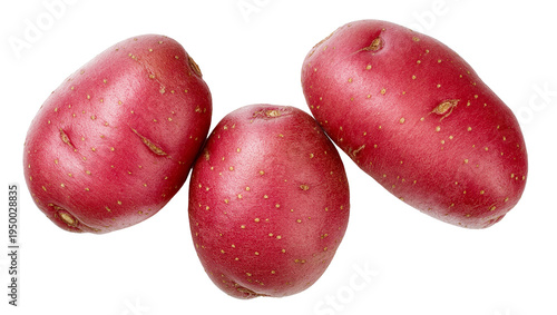 Slika na platnu Isolated fresh organic red potatoes ready for healthy cooking ingredients and de