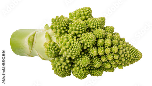Isolated fresh Romanesco broccoli, healthy green raw fractal vegetable with unique texture.