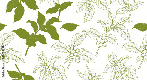 Coffee Plant Pattern: Hand-Drawn Branches with Berries on White Background