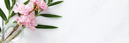 Vase with a pink flower in it