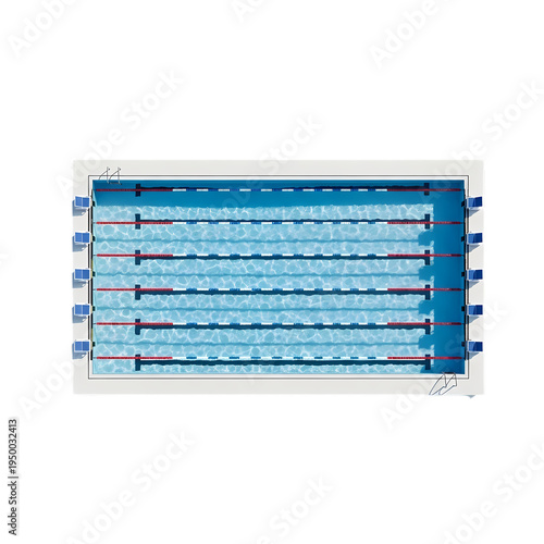 Top view of a swimming pool isolated on transparent background