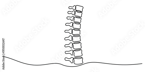 Anatomical line drawing illustration showing a section of the human spine and lumbar vertebrae