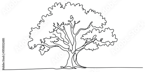 A single continuous line drawing of a large deciduous tree with a wide canopy and thick trunk