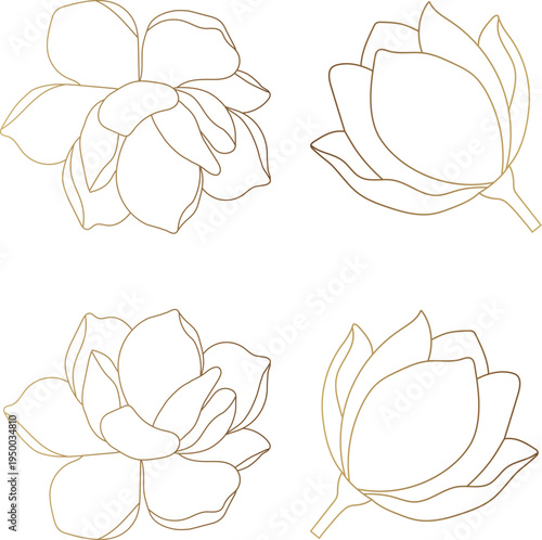Print Minimal Magnolia Flower Line Art Set, Elegant Botanical Outline Floral Illustration Collection