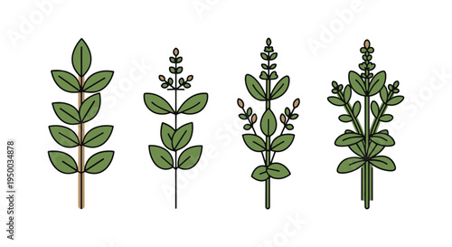 Summer Savory Line art vector creative vibrant abstract