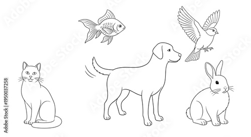 Line Art Pets Illustration: Playful Cat, Active Dog Wagging Tail, Flying Bird, Goldfish Swimming, Cute Bunny – Black and White Outlines for Children's Activity Books, Veterinary Designs,  Animal Educa