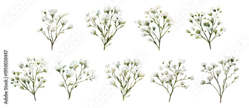 Small watercolor sprigs of white baby's breath with green stems, delicate gypsophila blooms and buds lending soft, fresh, romantic botanical charm for wedding or stationery designs
