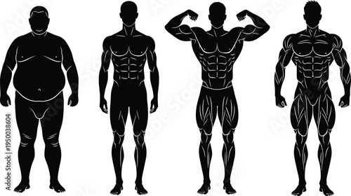 Male body transformation silhouettes, overweight to muscular fitness progress, bodybuilding anatomy comparison, healthy lifestyle training vector illustration set