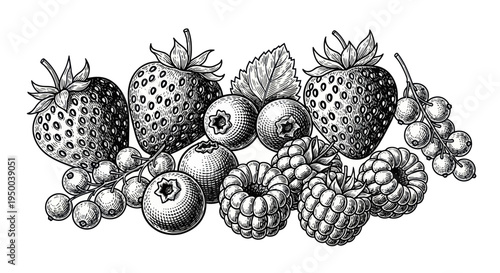 Hand-drawn Berry Assortment: Strawberries, Blueberries, Raspberries, Currants, Sketch Style