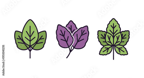 Sweet Basil Line art vector minimal abstract modern style