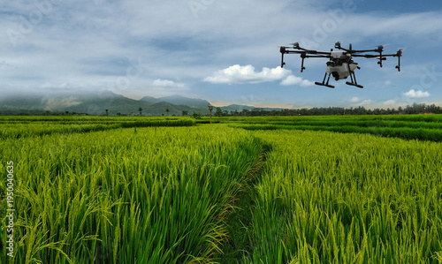 Slika na platnu Using modern technology and drones to inspect crops in smart farming