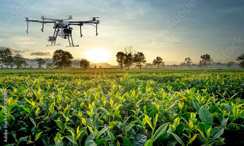 Φωτογραφία The image shows farmers using modern technology and drones to inspect crops in smart farming