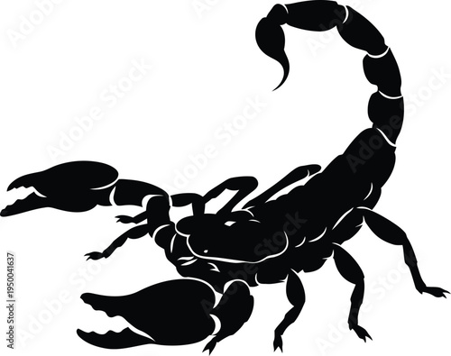 Black Scorpion Silhouette Isolated on White Background