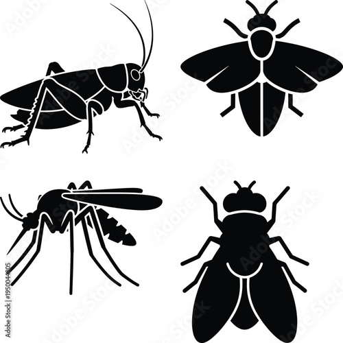 Black silhouettes of various insects on white background