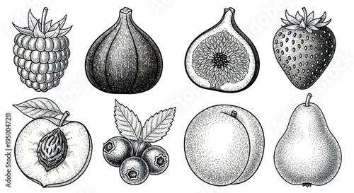 Hand-Drawn Assortment of Fresh Fruits: Raspberry, Fig, Strawberry, Peach, Blueberry, Pear